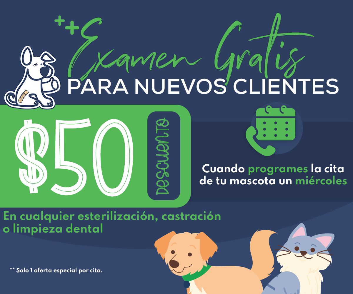 Especial de examen gratis para nuevos clientes