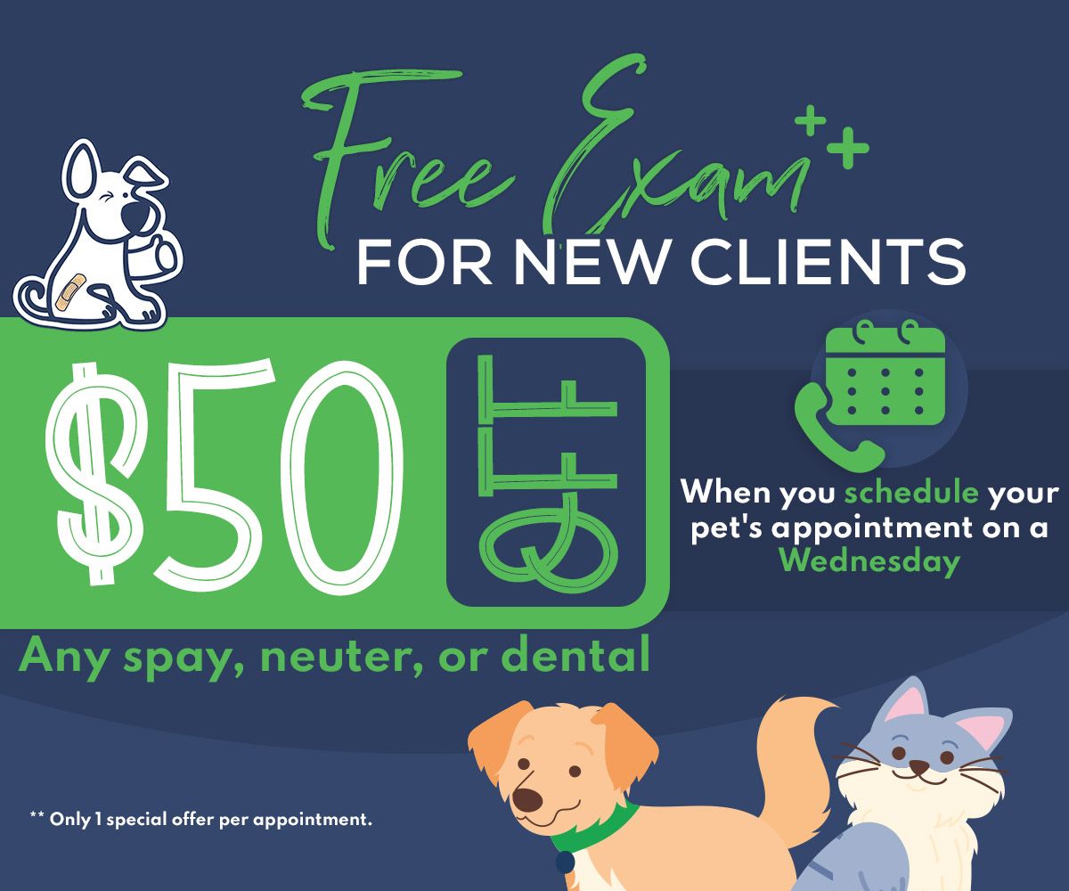 Free exam special pop-up