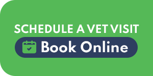 Schedule a Vet Visit Book Online